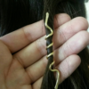 2pcs Viking snake Hairs Bead Hair Ring Spiral Tribal Style Hair Accessory, Viking Hair bead